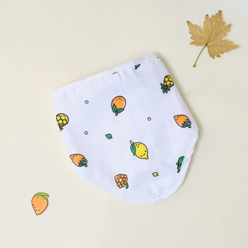 Fruity Pops Muslin Bib